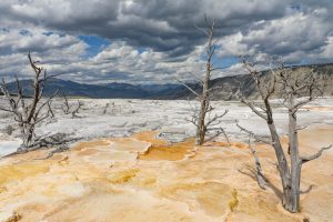 Yellowstone