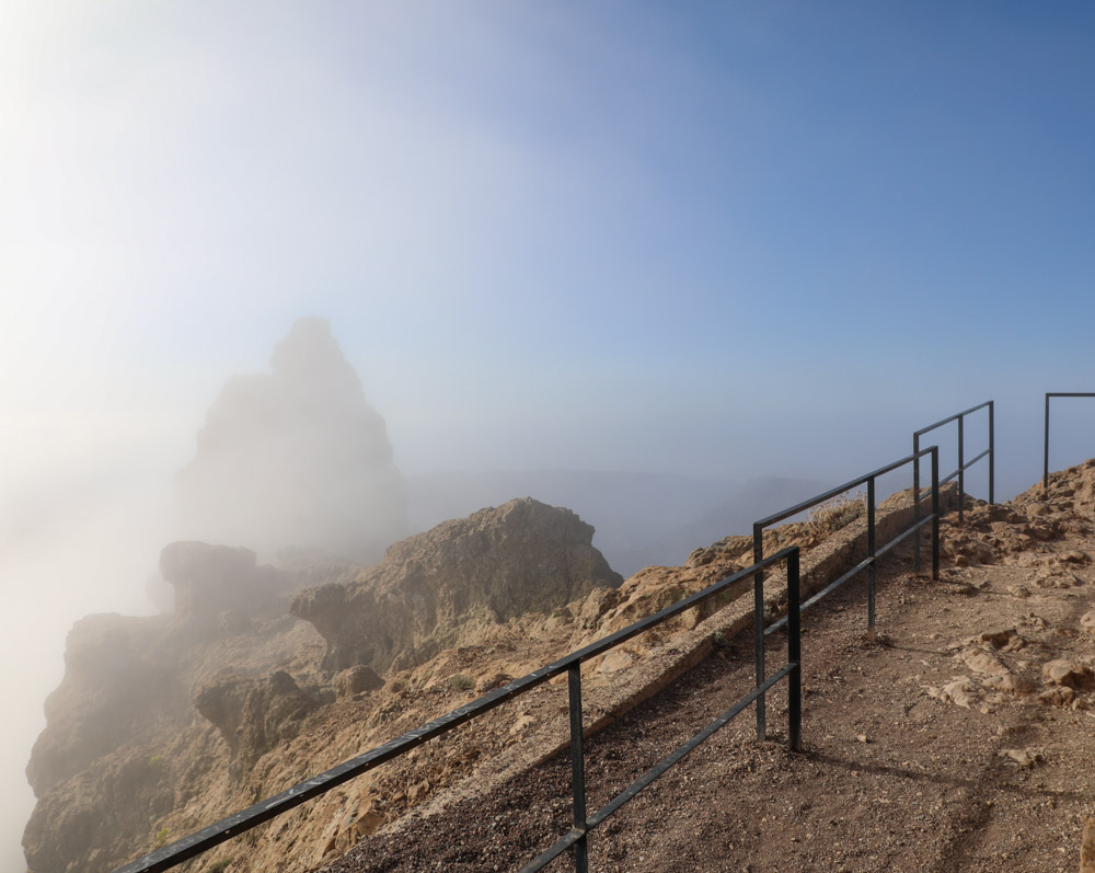 Georganiseerde excursies