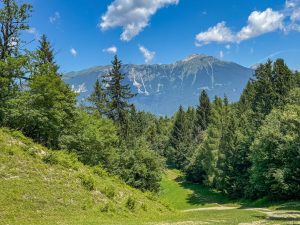 5x zien & doen in Slovenië