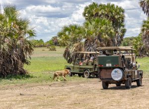 Selous Game Reserve