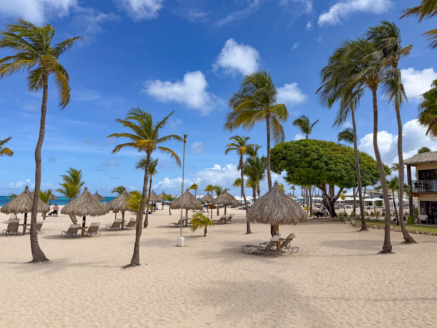 Aruba in 27 vakantiedagen